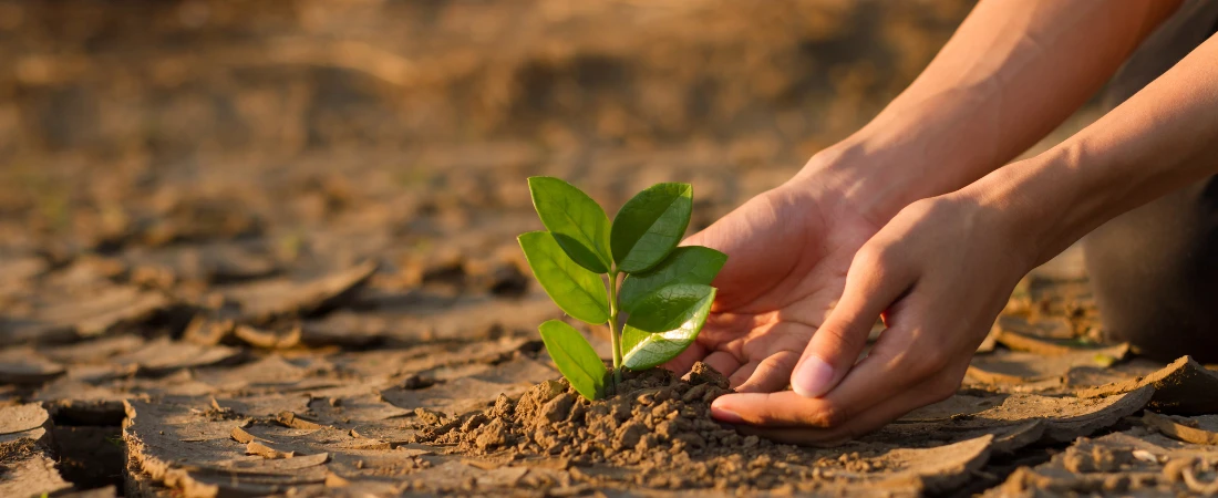 Climate-Smart Destination Planning: How to Choose Climate-Friendly Travel Locations for Sustainable Adventures