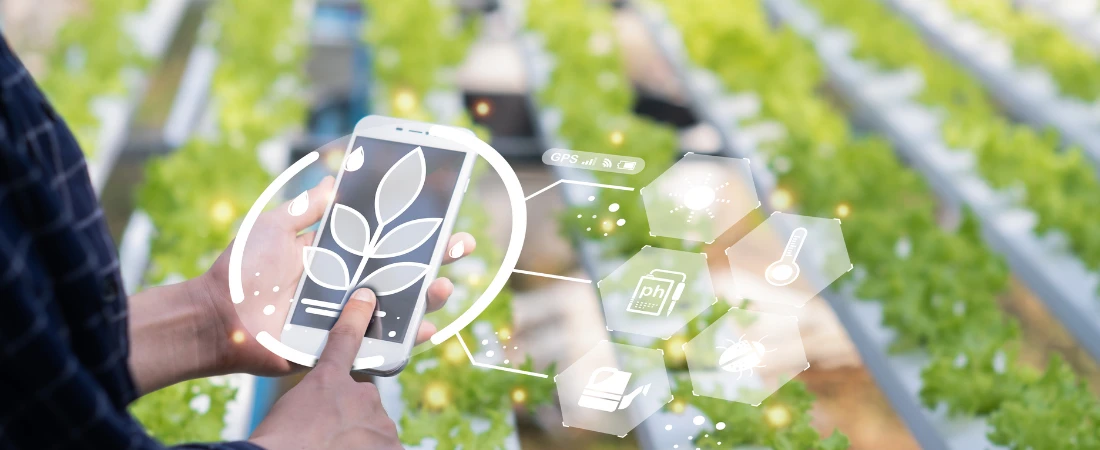 The Rise of Green Technology: How Innovation Is Supporting Environmental Sustainability