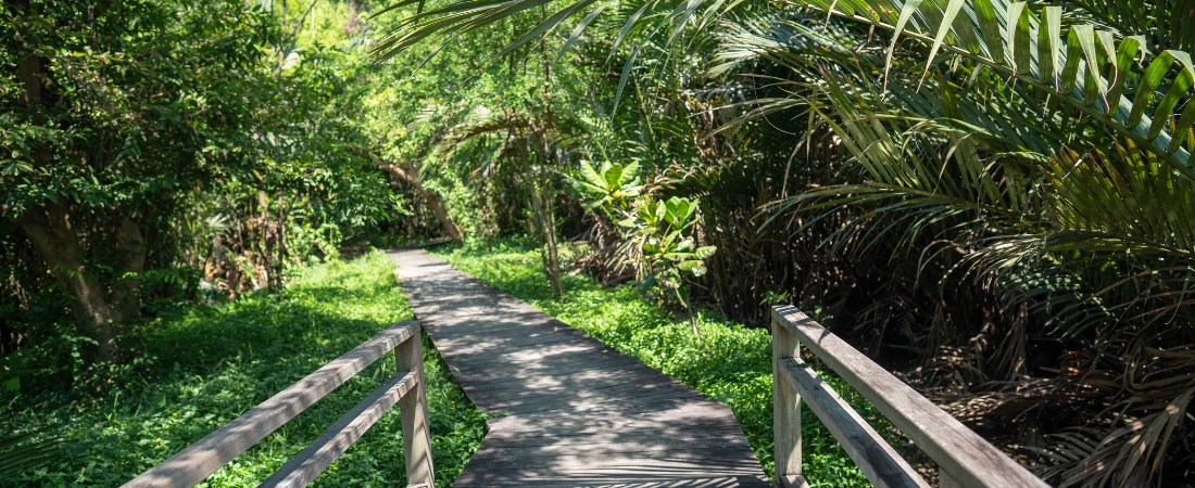 Responsible Wildlife Tourism – Observing Animals While Protecting Their Natural Habitats