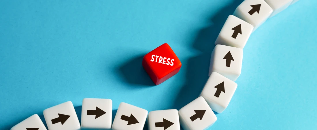 Responsible Wildlife Tourism – Observing Animals While Protecting Their Natural Habitats