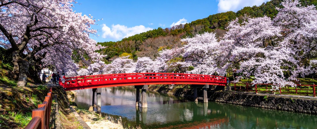 Seasonal Travel Planning: Choosing the Best Destinations for Every Time of Year