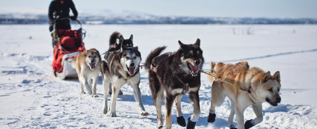 Seasonal Travel Planning: Choosing the Best Destinations for Every Time of Year