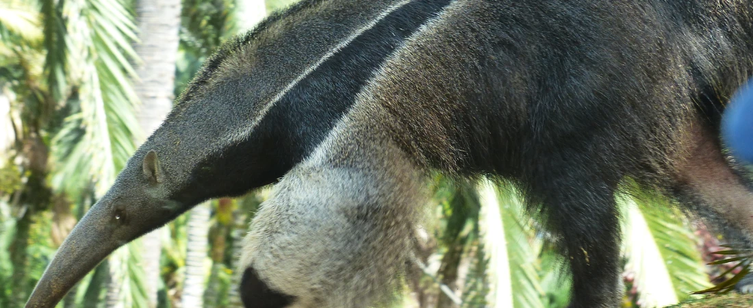 Food Foraging Tourism: Exploring Wild Edible Plants and Culinary Traditions