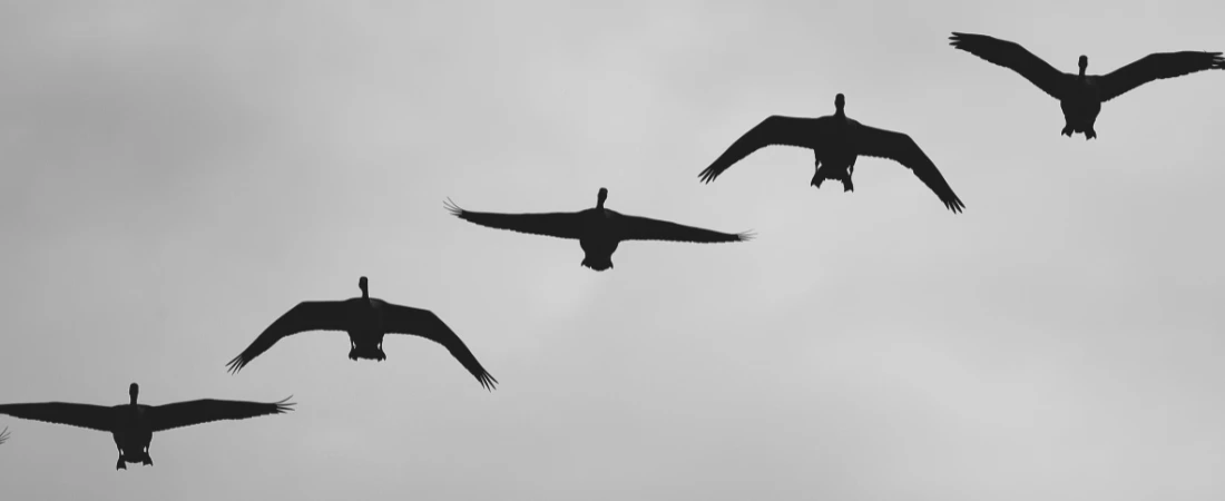 AI Alignment and the Challenge of Controlling Intelligent Systems