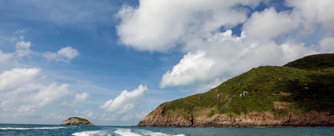 Decentralized Autonomous Organizations (DAOs) and Algorithmic Governance: The Future of Digital Decision-Making