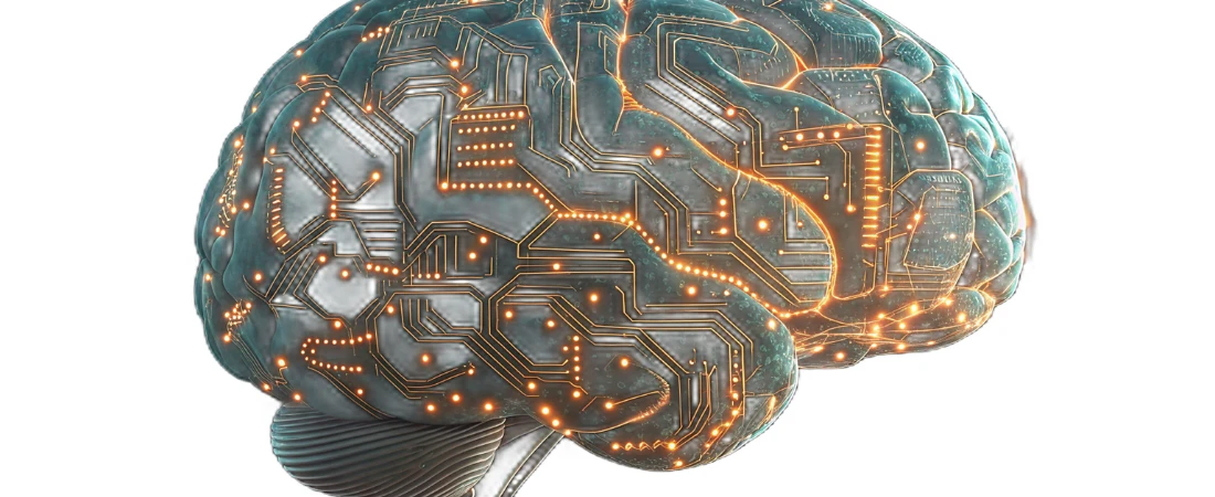 Neuromorphic AI Chips and Brain-Inspired Computing Architectures