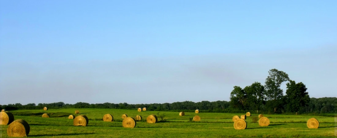 Autonomous Scientific Discovery Systems and AI-Led Research Innovation