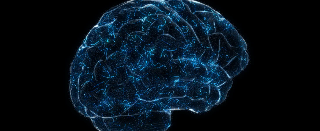 Human Brain–Computer Symbiosis and Neural Data Integration Systems: The Future of Cognitive Augmentation