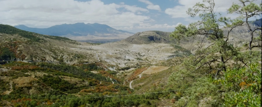 Intelligent Data Fabric Architectures and Autonomous Information Flow Systems