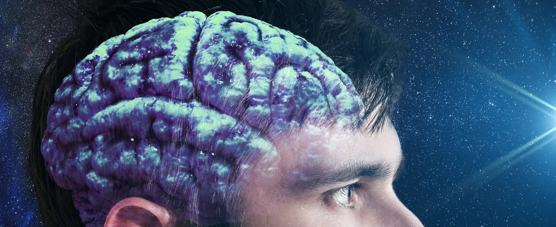 Digital Consciousness Modeling and Artificial Mind Simulation Architectures