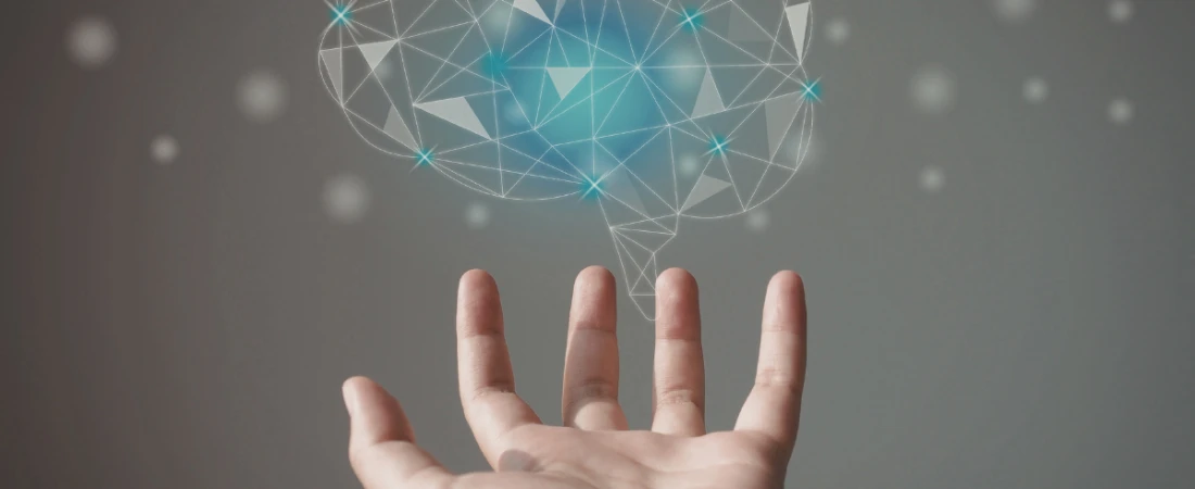 Neuromorphic Vision Intelligence Systems and Bio-Inspired Image Processing Architectures