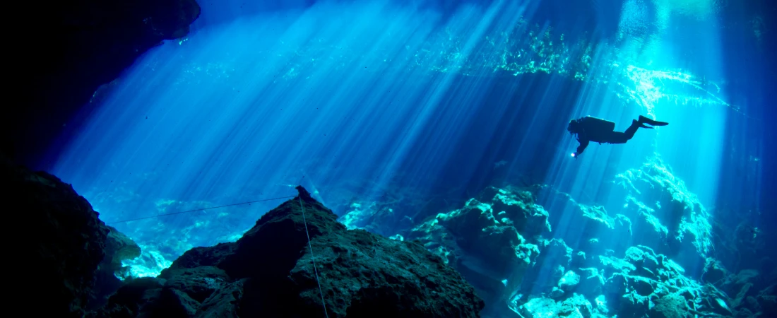 Autonomous Underwater Intelligence Systems and Deep-Sea Exploration Networks