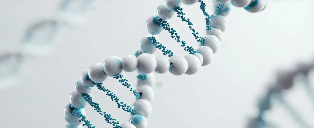 Synthetic Biology Engineering Platforms and the Evolution of Programmable Living Organisms