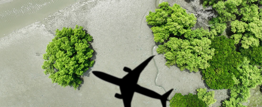 Zero-Emission Aviation Networks and Next-Generation Sustainable Aerospace Transportation Systems
