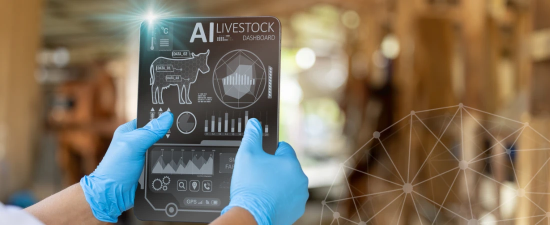 Programmable Nanorobot Healthcare Networks and the Future of Autonomous Precision Medicine
