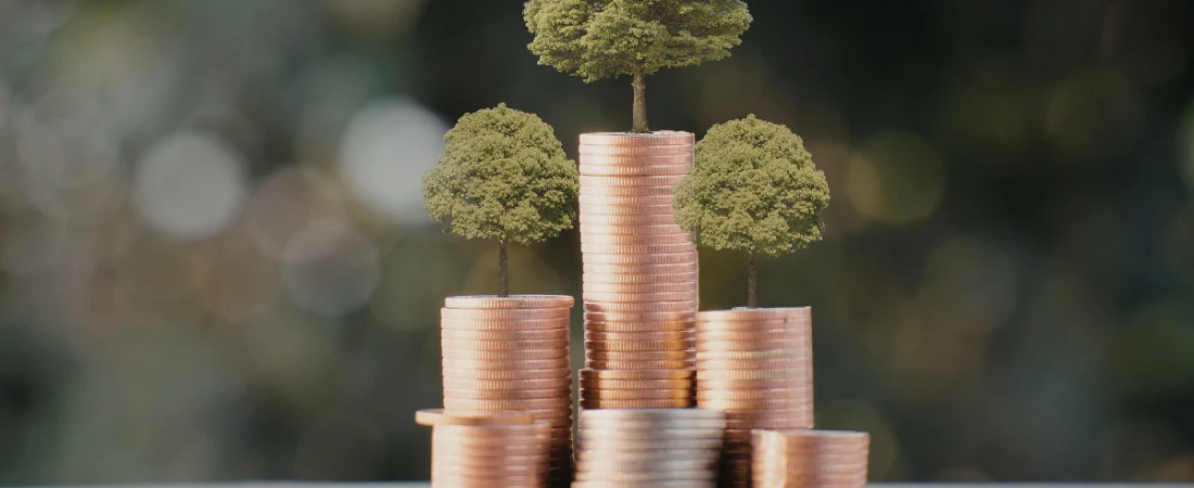 The Science of Financial Resilience Through Smart Saving Habits 