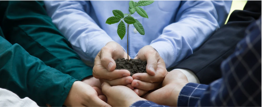 Low-Impact Tourism: Practical Ways to Travel While Reducing Your Environmental Footprint