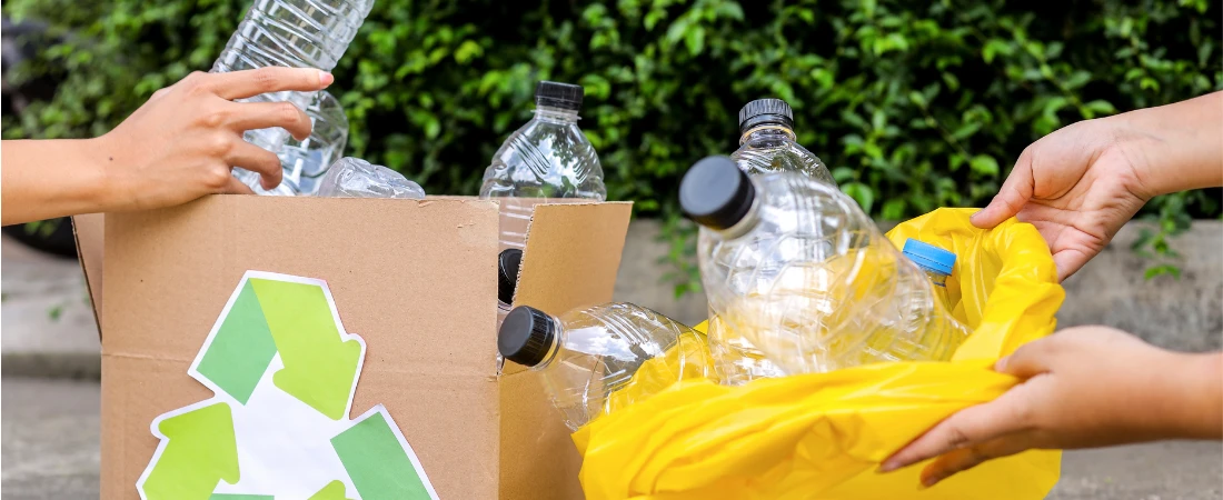 Low-Impact Tourism: Practical Ways to Travel While Reducing Your Environmental Footprint