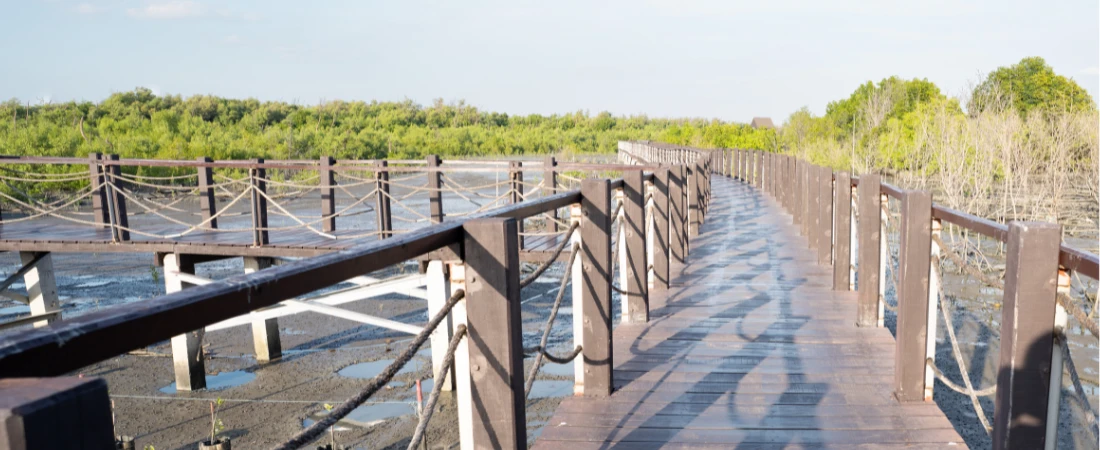 Regenerative Destinations: How Travelers Can Help Rebuild Local Communities and Ecosystems