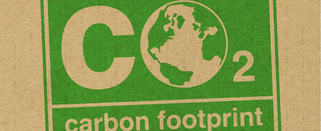 Carbon-Smart Tourism: New Strategies for Reducing the Environmental Cost of Travel