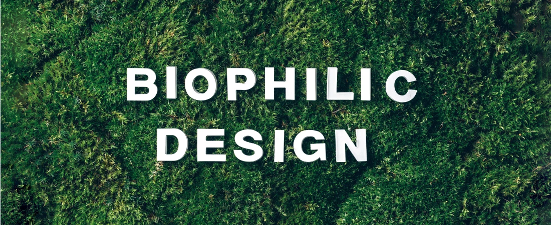 Biophilic Travel: Why Nature-Rich Destinations Can Transform the Way We Experience Holidays