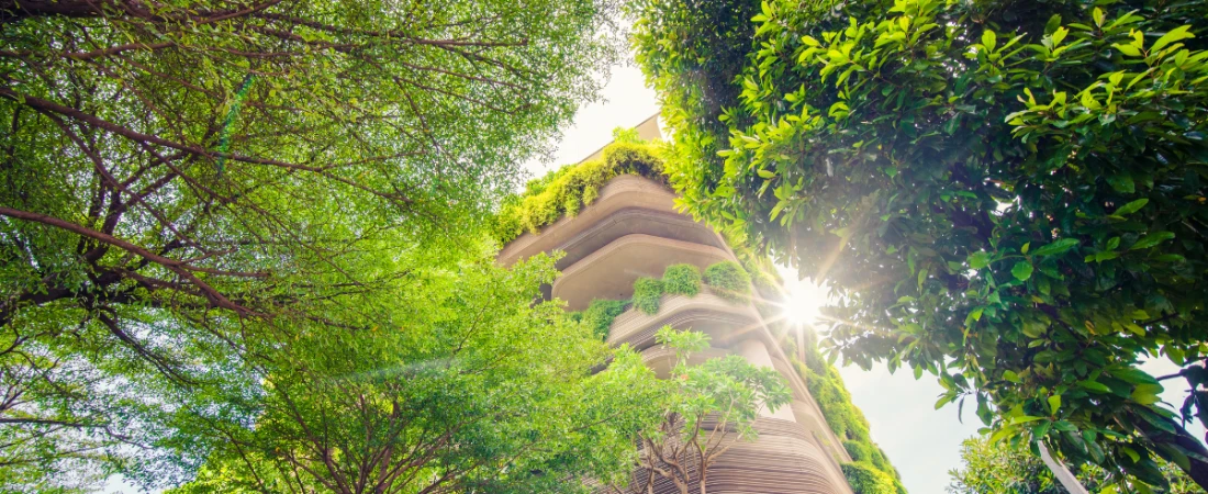 Climate-Resilient Tourism: How Destinations Are Redesigning Travel for a Changing Climate