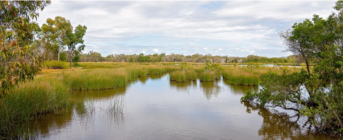 Ecosystem Restoration Tourism: How Travelers Could Help Rebuild Forests, Wetlands, and Wildlife Habitats