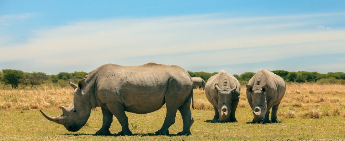 Low-Impact Adventure Travel: How Outdoor Tourism Can Balance Exploration With Environmental Protection
