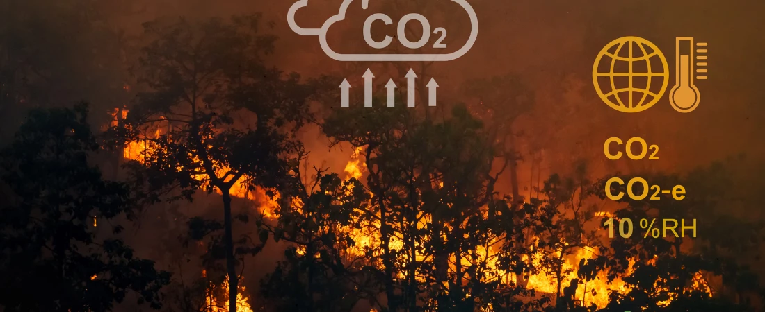 Climate-Adaptive Destinations – How Tourism Is Evolving for Heat, Floods, and Extreme Weather