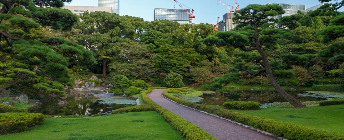 Destination Well-Being Architecture – How Urban Design, Public Spaces, Lighting, Greenery, and Mobility Could Make Entire Cities Better for Travelers