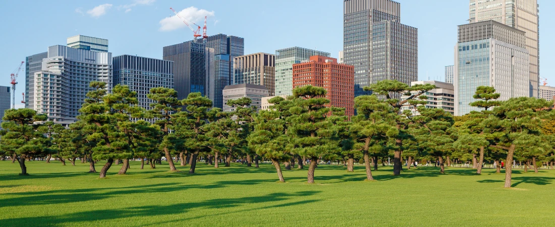 Tourism Asset Repurposing – Turning Overlooked Spaces Into Tourism Opportunities
