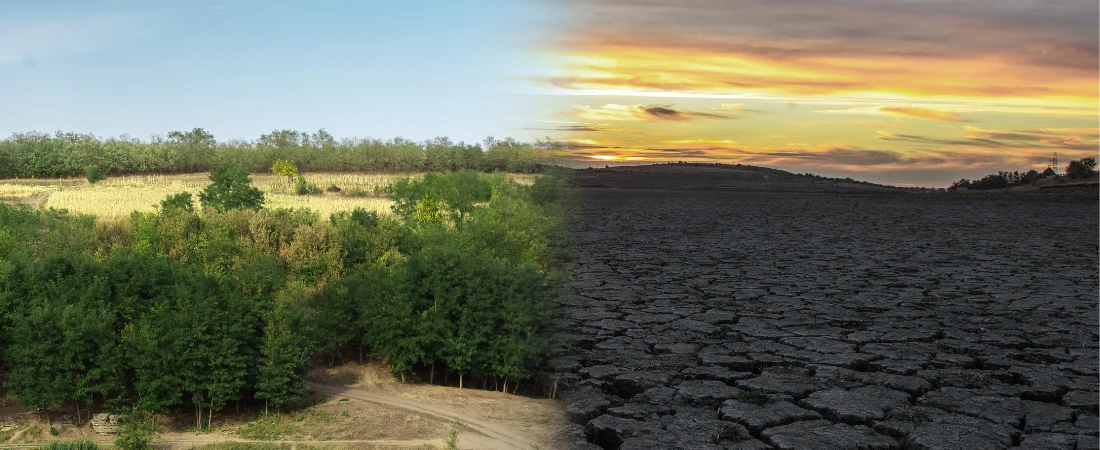 Adaptive Tourism Infrastructure – Designing Facilities That Adjust to Environmental Change