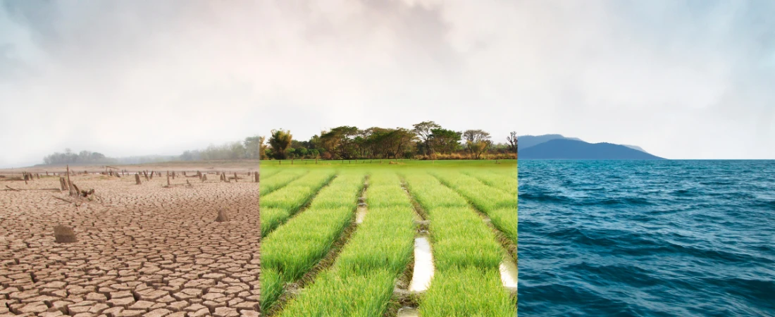 Tourism Disruption Recovery – Helping Destinations Recover After Major Crises
