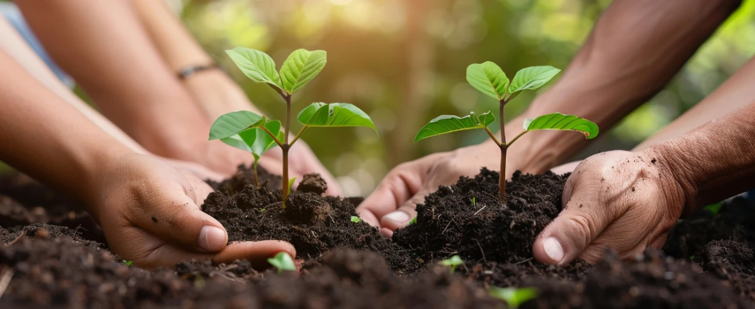 Low-Carbon Tourism Corridors – Creating Cleaner Connections Between Travel Destinations