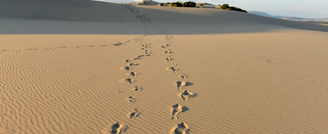 Destination Sustainability Analytics – Measuring Tourism’s Long-Term Environmental Effects