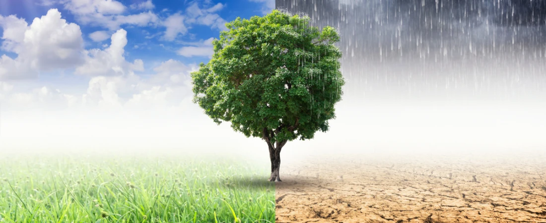 Climate-Ready Destination Planning – Preparing Tourism for Climate Challenges