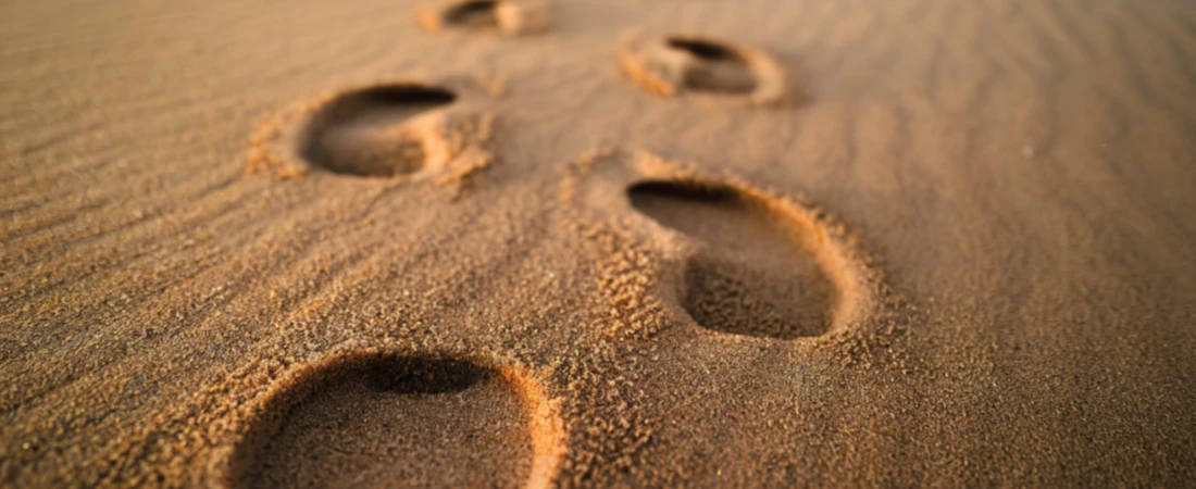 Tourism Footprint Intelligence – Tracking Tourism’s Environmental and Social Effects