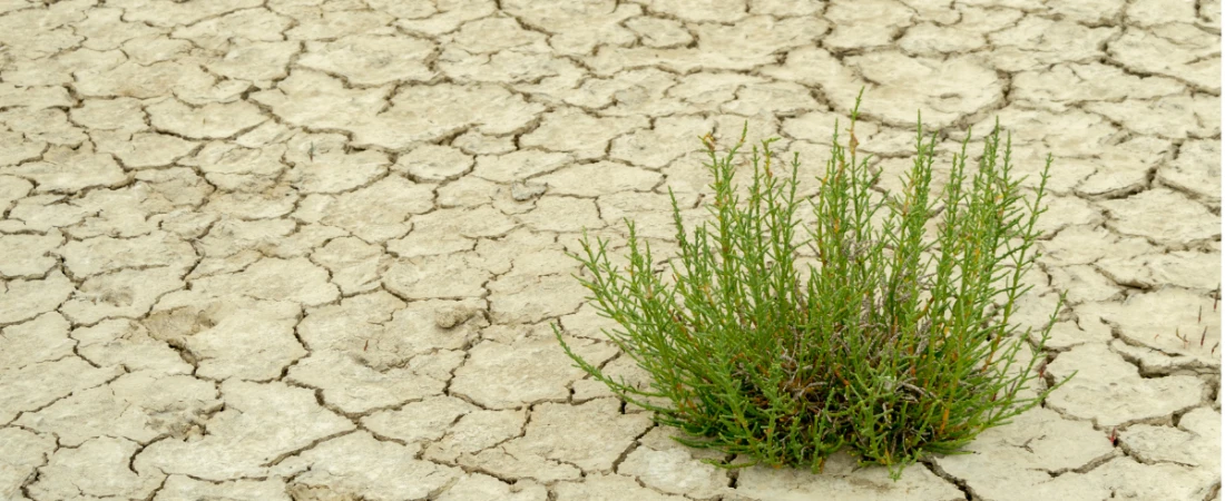 Tourism Footprint Intelligence – Tracking Tourism’s Environmental and Social Effects