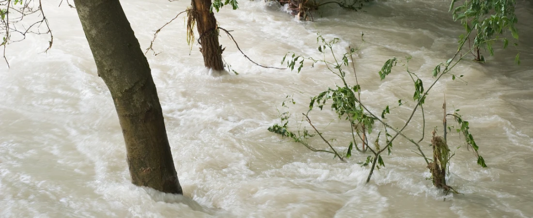 Tourism Water Security and Intelligent Resource Allocation Models: Building Water-Resilient Destinations